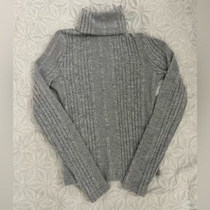 Small ribbed turtleneck